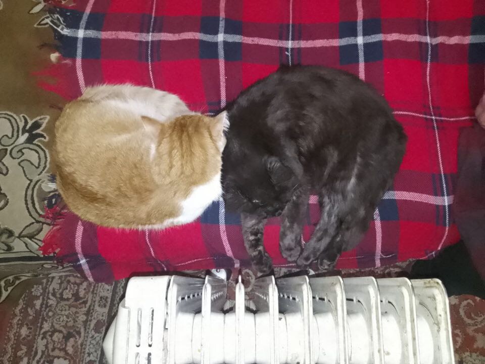 Дети греются