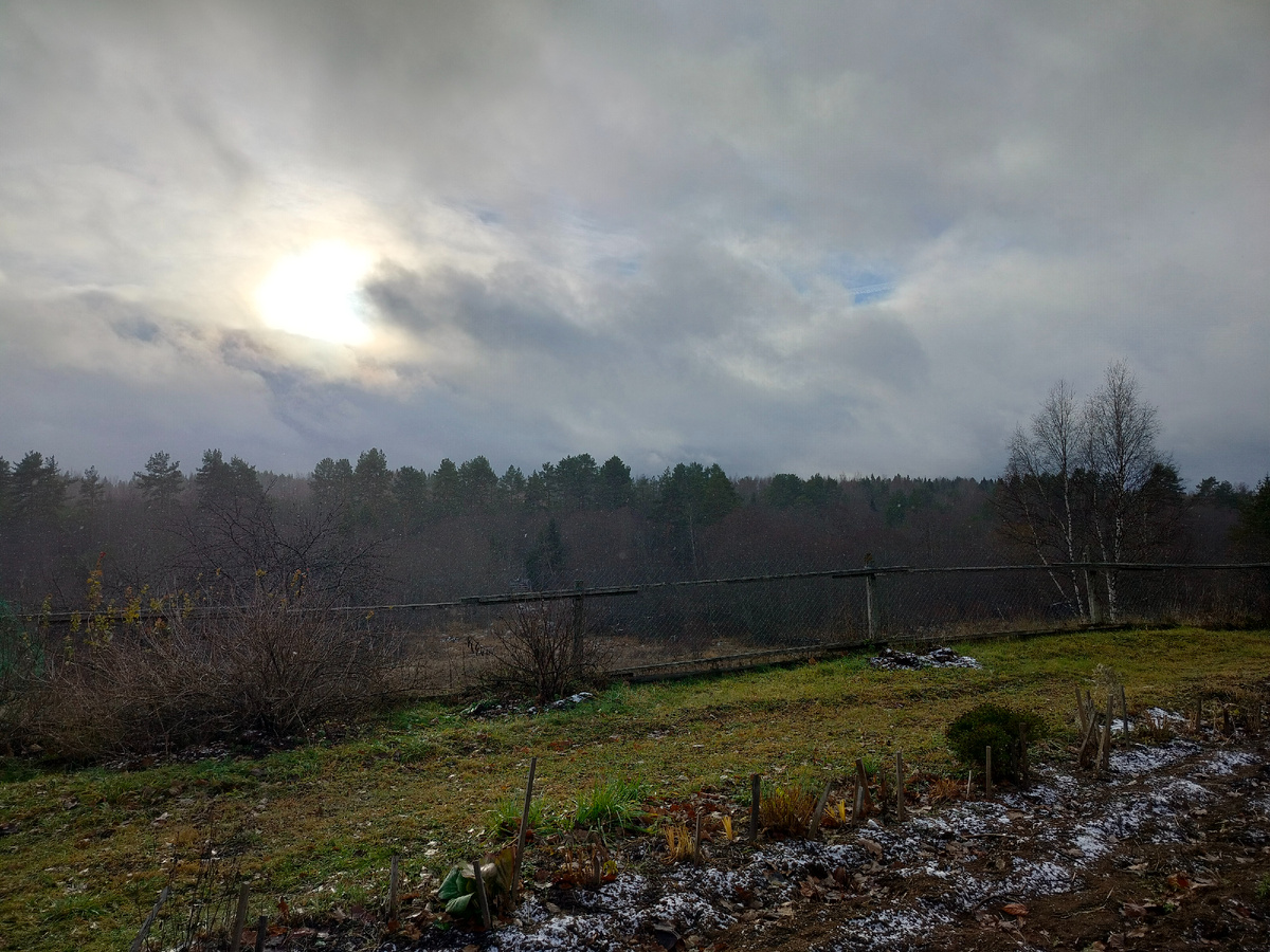 Утром сегодня попал снег. На фото его не видно, но он был чистым и мелким, закончился быстро.