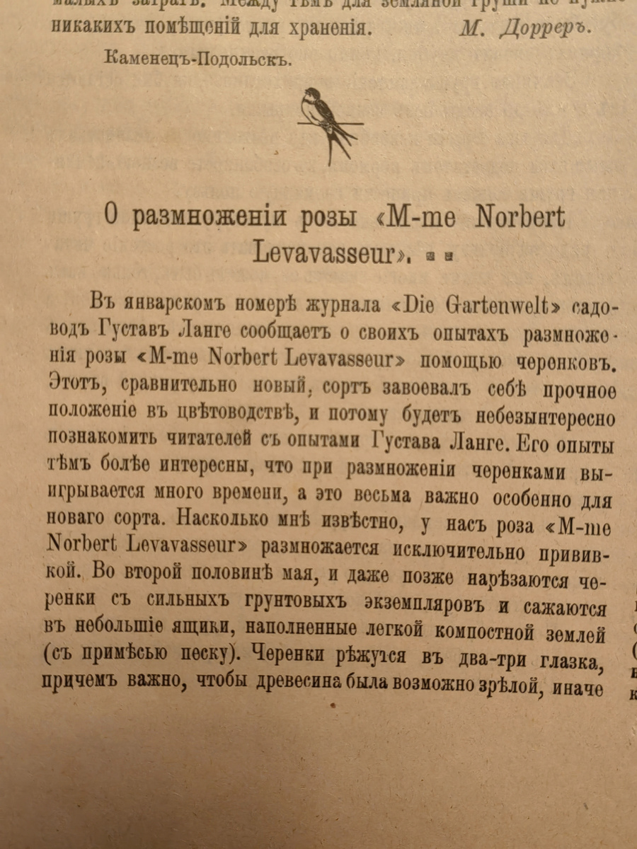 Публикация статьи о размножении розы M-me Norbert Levsvassrur .