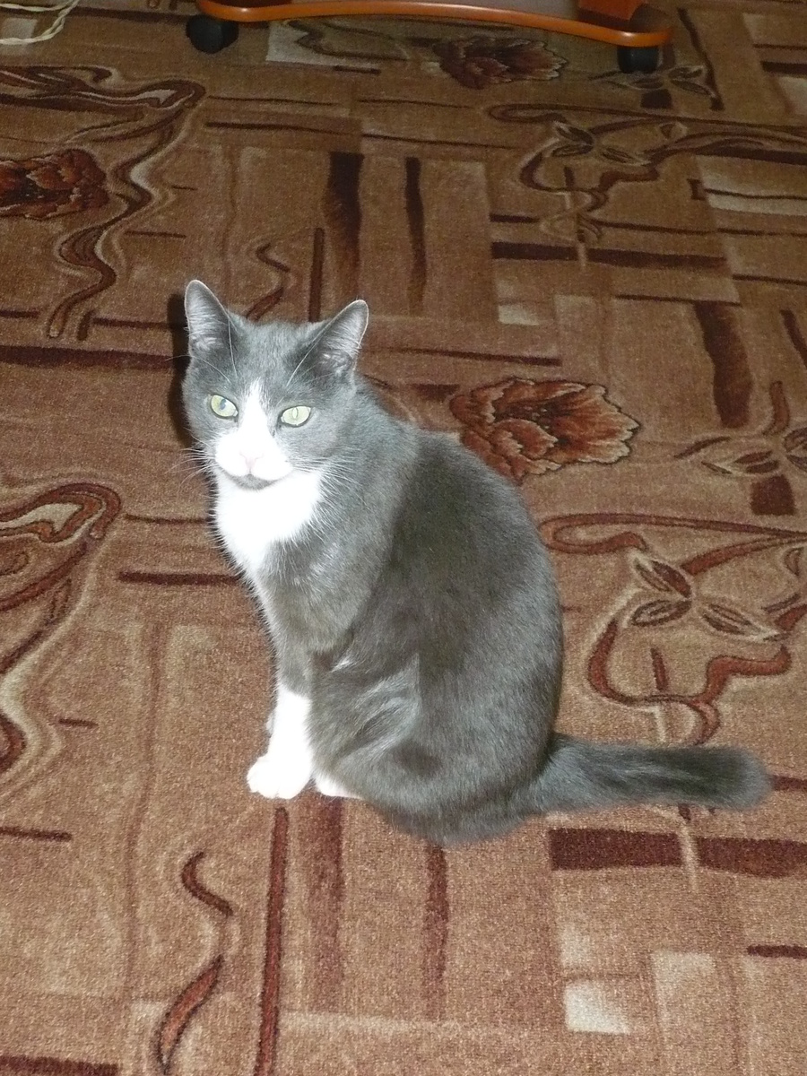 Фото автора