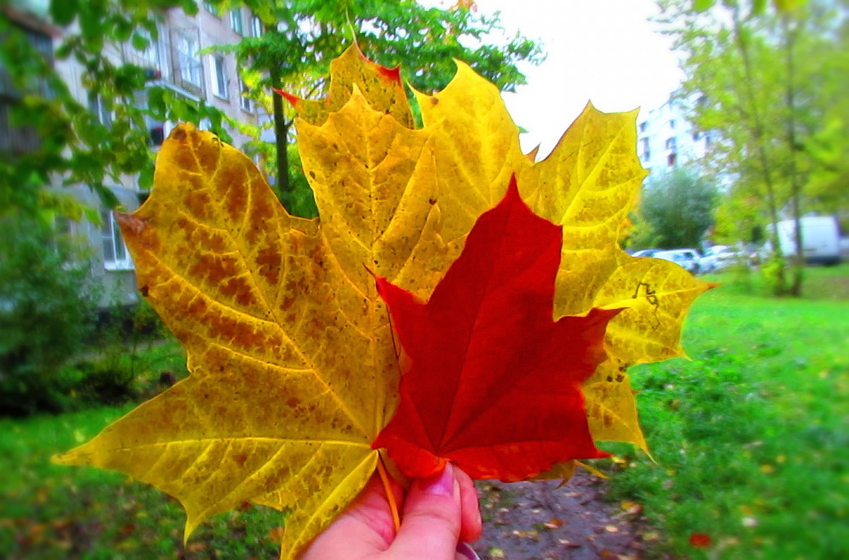 © фото Марины Романовой 