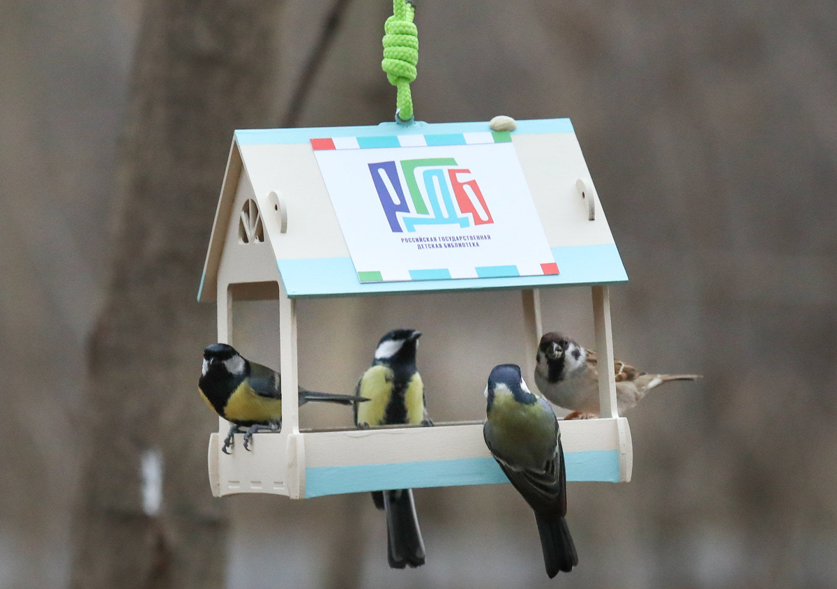 Синичкин день