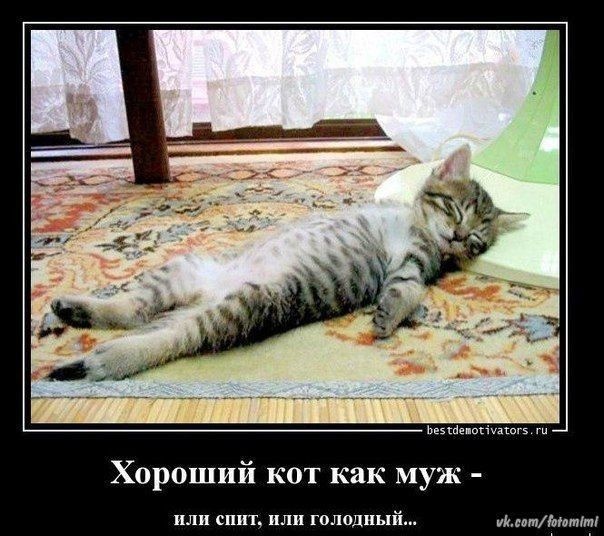 Фото из Яндекс .