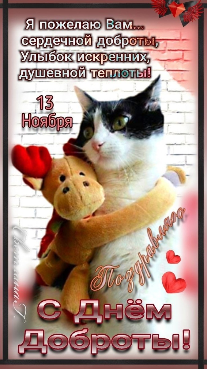 Фото из Яндекс .