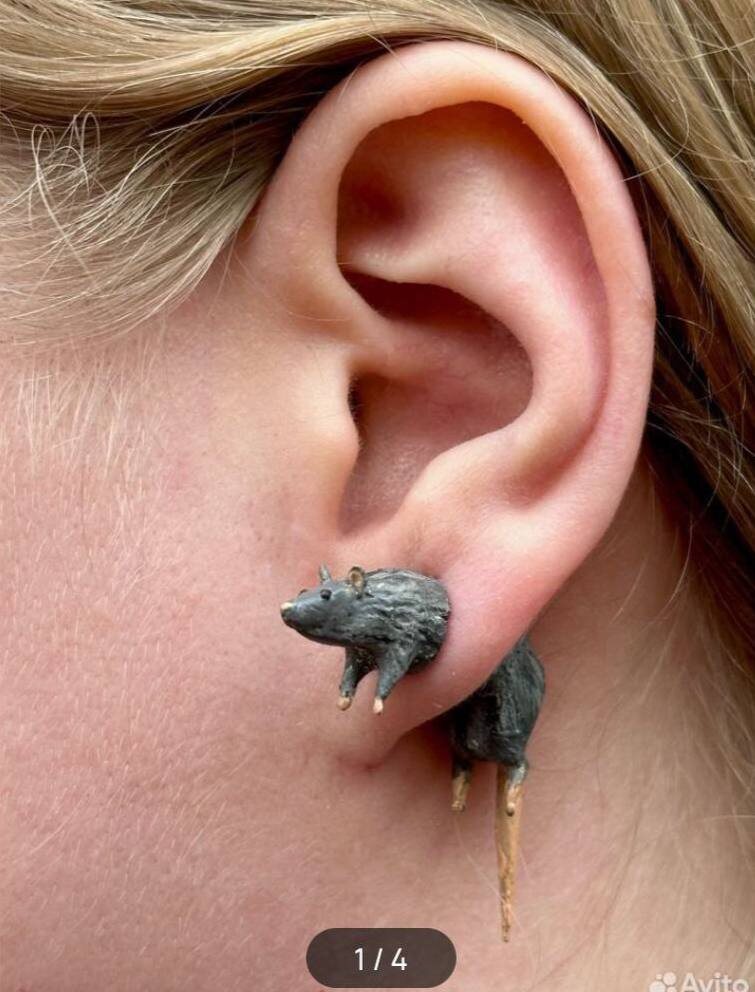 Фото из открытых источников 