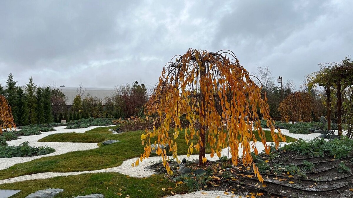    Фото: телеканал «Краснодар»