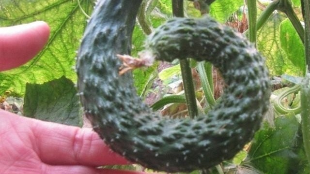 Фото с pinterest.com