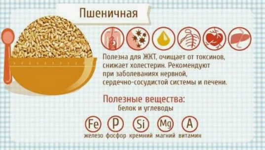 Польза пшеничной каши на воде