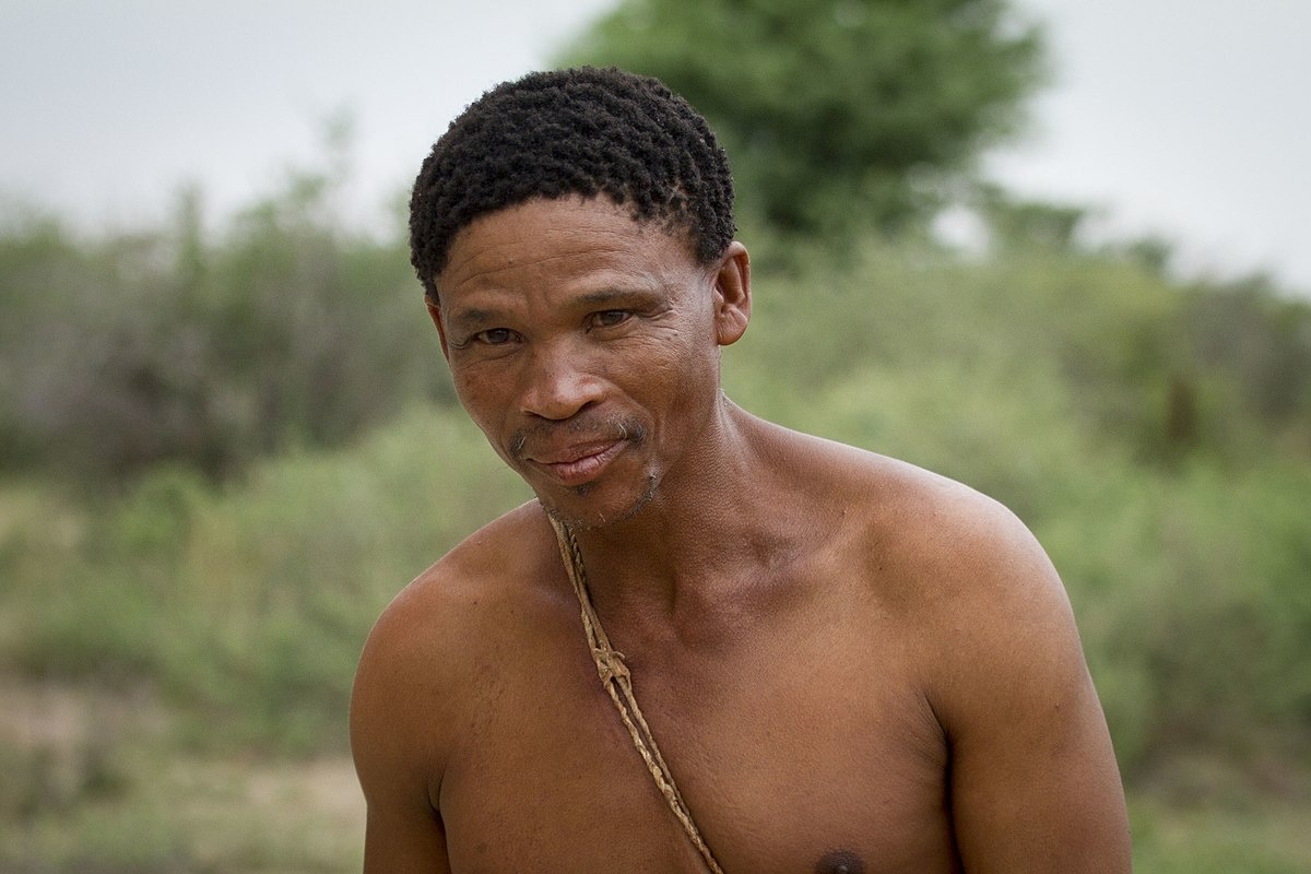 Бушмен. Они горазде светлее экваториальных негров.