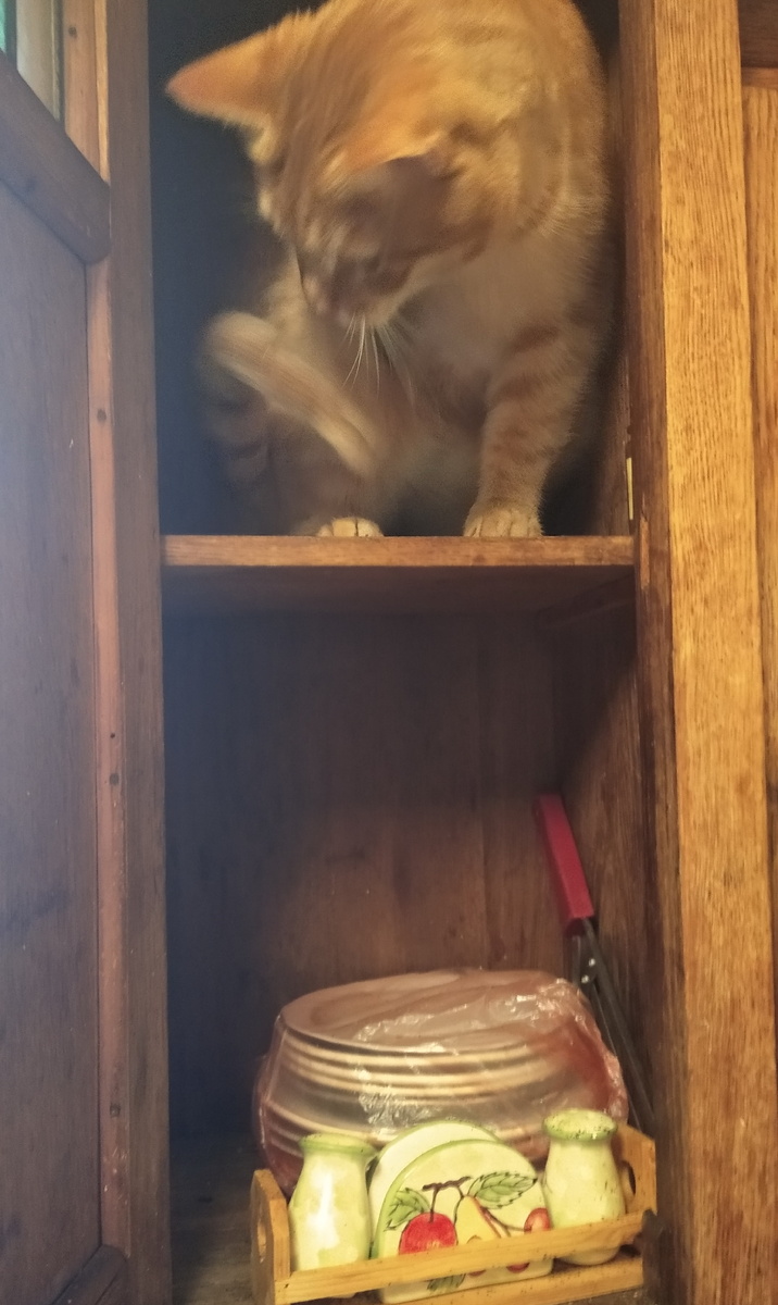 Личное фото