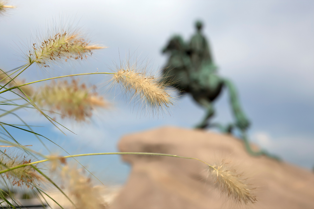 Медный всадник