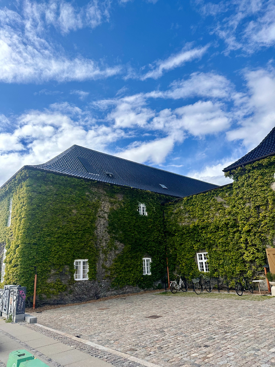 сфотографировано во время езды на велосипеде