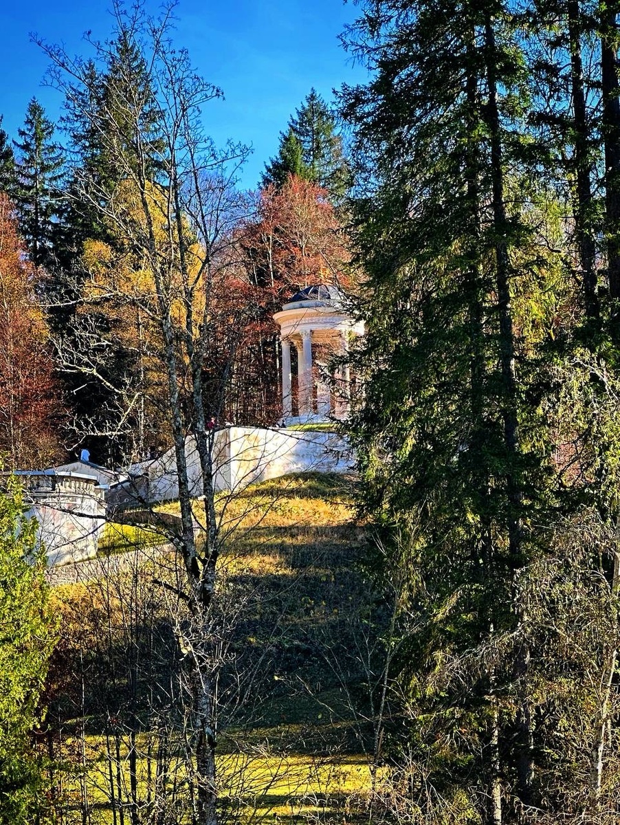 Фото от автора 26.10.24 , Тамара Вибе.