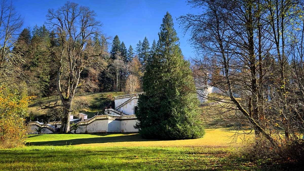 Фото от автора 26.10.24 , Тамара Вибе.