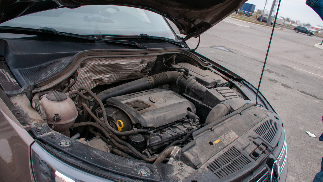    Svetlana Vozmilova/Globallookpress