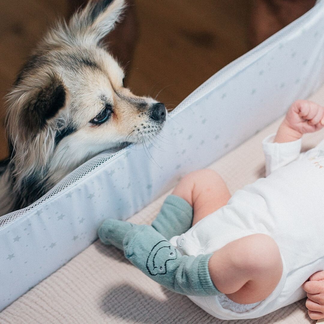    Сын Beenzino и Стефани МиховаСоцсети