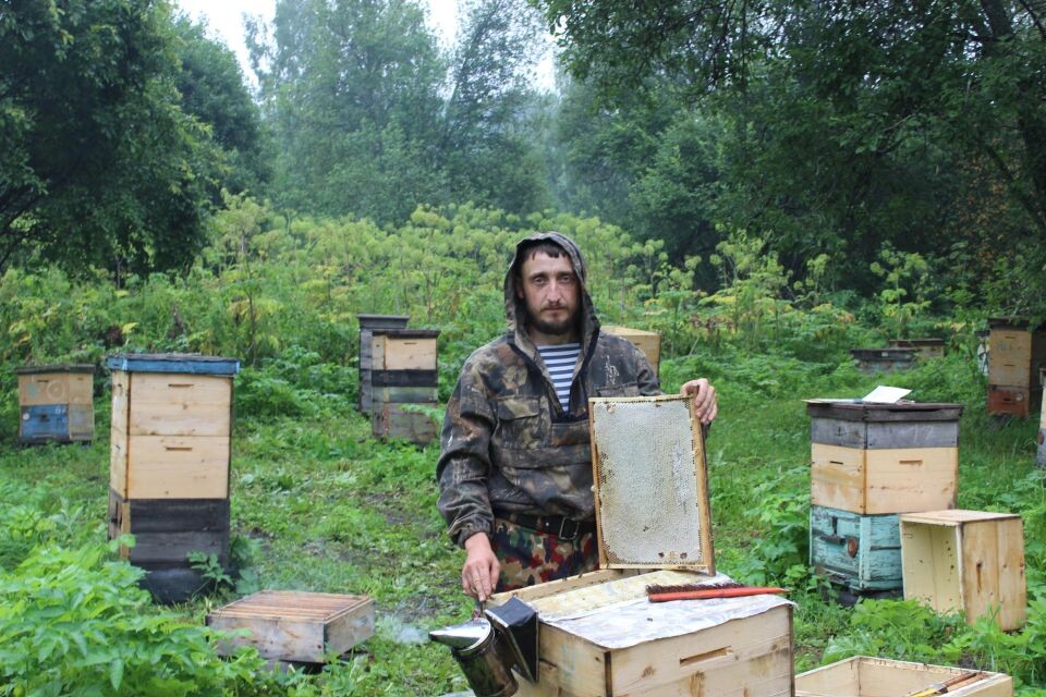    Пчелоферма Владимира Зырянова. Источник: Предоставлено "Толку"