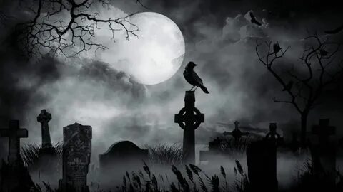 Изображение взято из открытых источников интернета. 