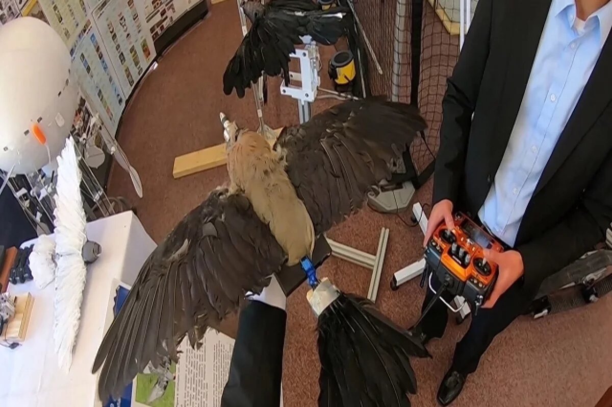    Мертвечина с мотором.