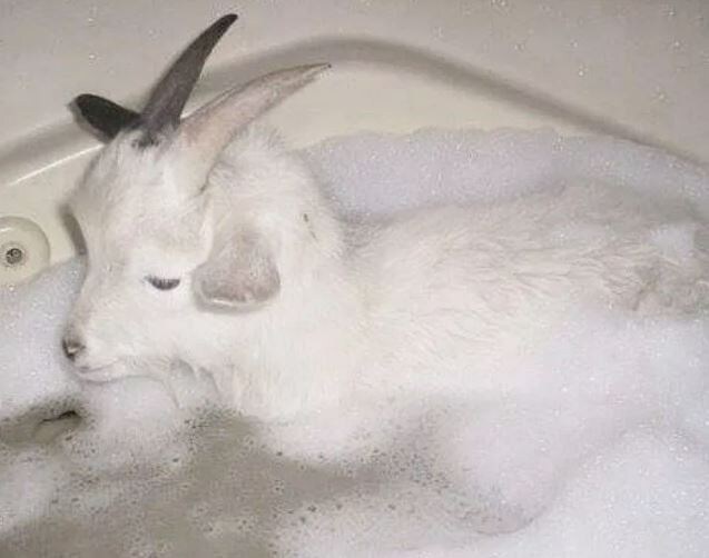 И так бывает))