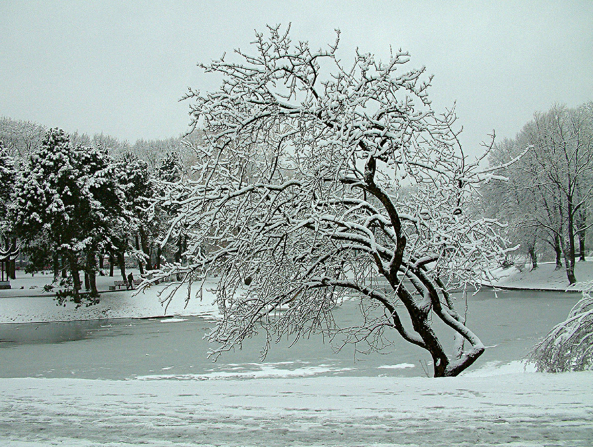 Victor Lisitsyn, Виктор Лисицын/Global Look Press