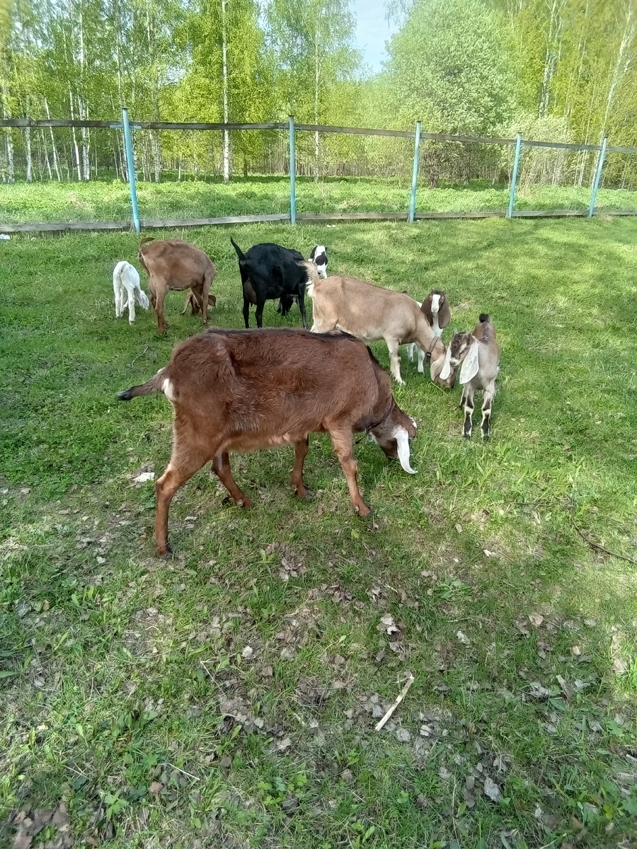 Фото автора.