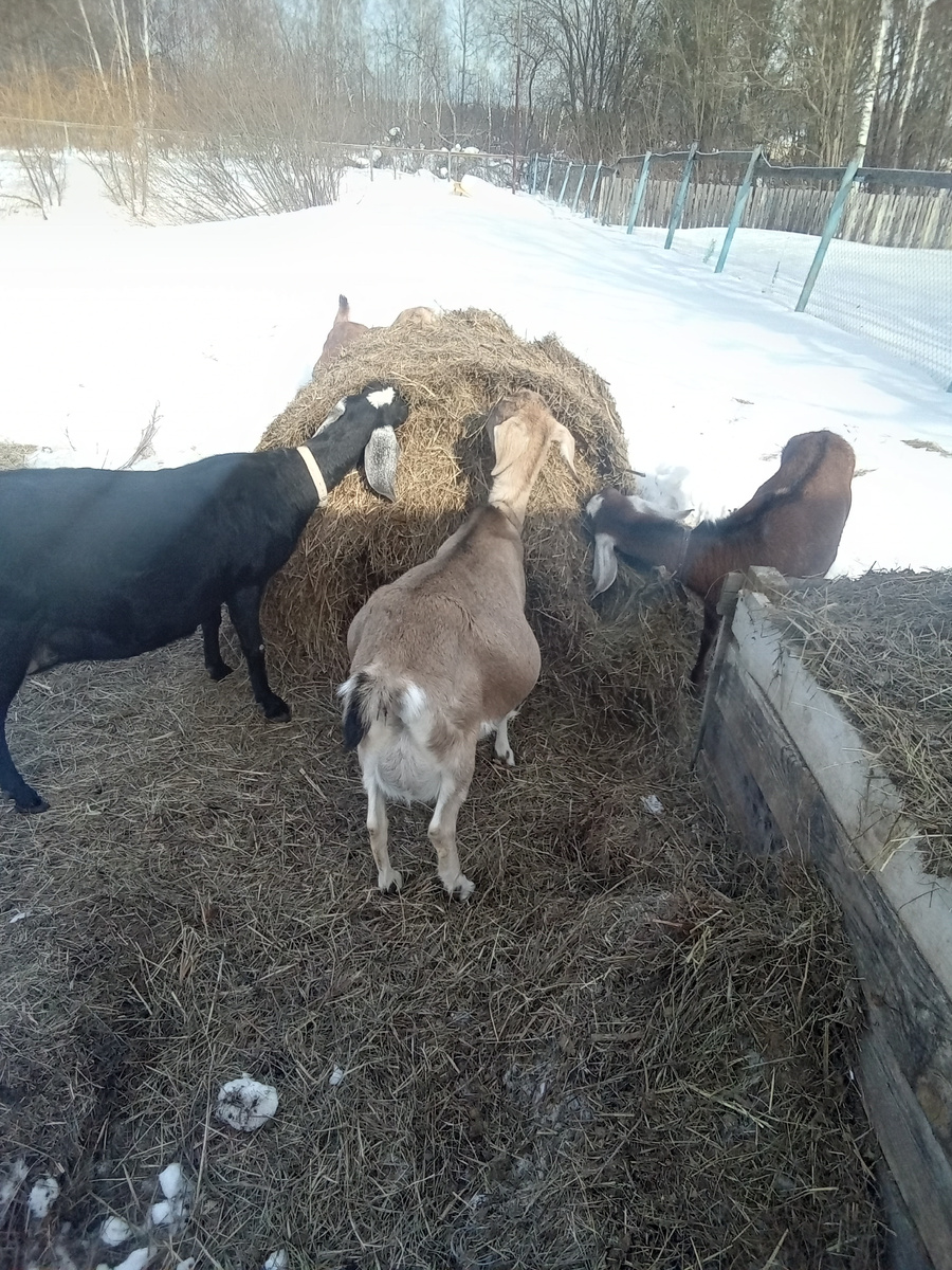 Фото автора.