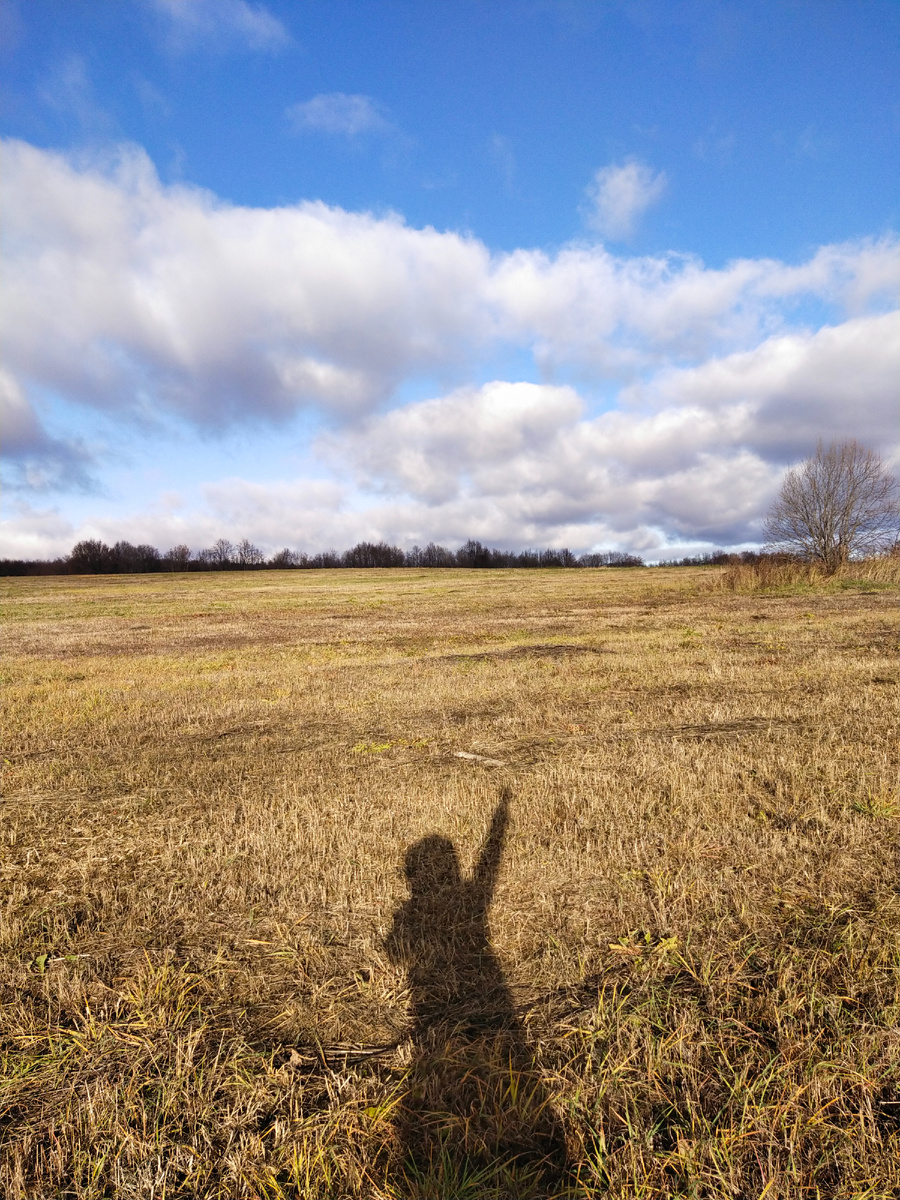 Личное фото
