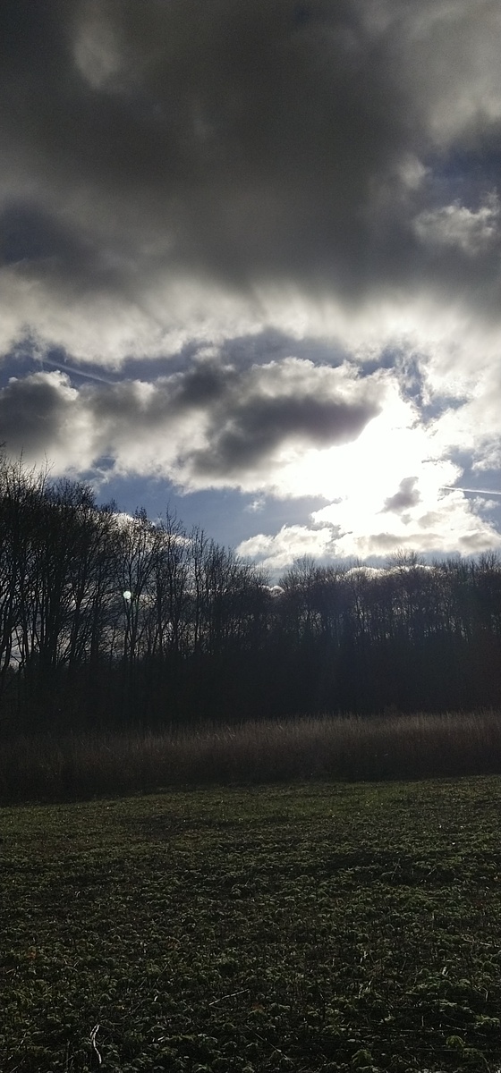 Личное фото