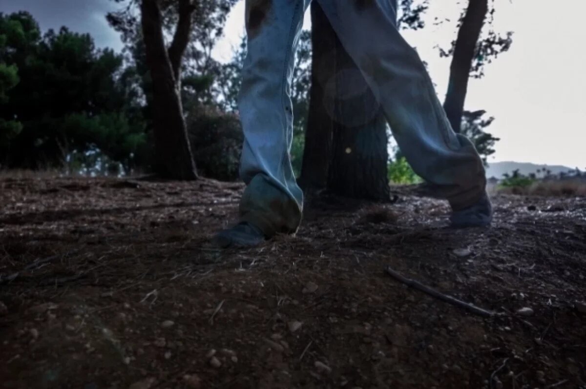    Десять дезертиров сбежали из военной части под Новосибирском