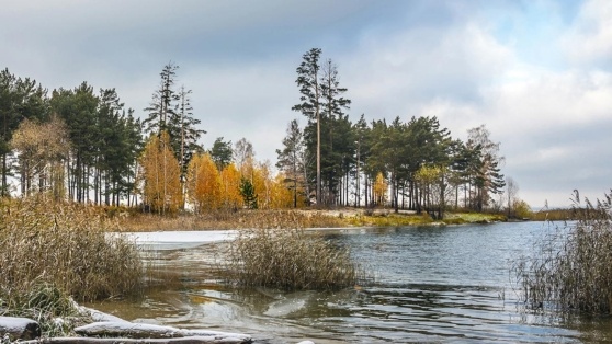    13 ноября в Москве и области ожидается пасмурный день без осадков Андрей Галкин