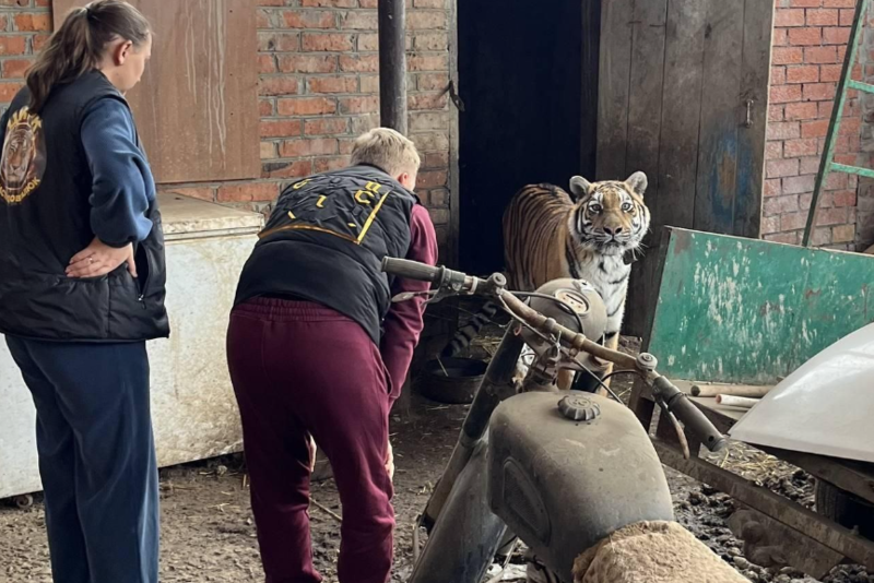    Фото: пресс-служба прокуратуры Краснодарского края