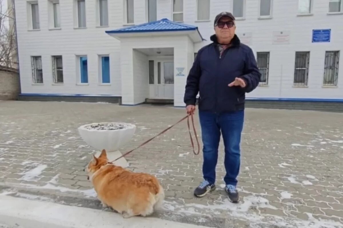    Директор барнаульского зоопарка Сергей Писарев чипировал свою корги Асю