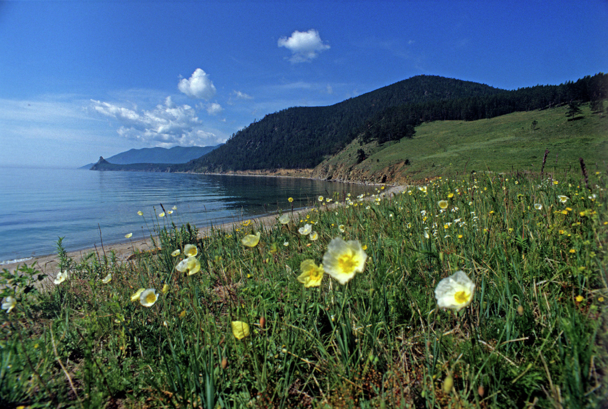 Байкал © Sputnik /Юрий Кавер