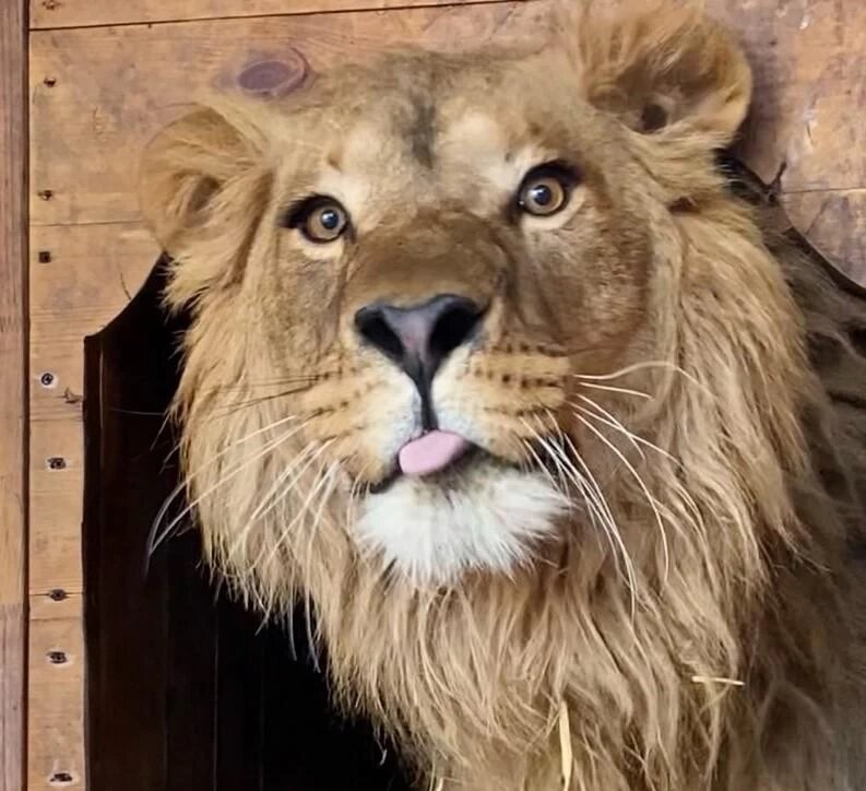 Фото: Предоставлено Кареном Даллакяном