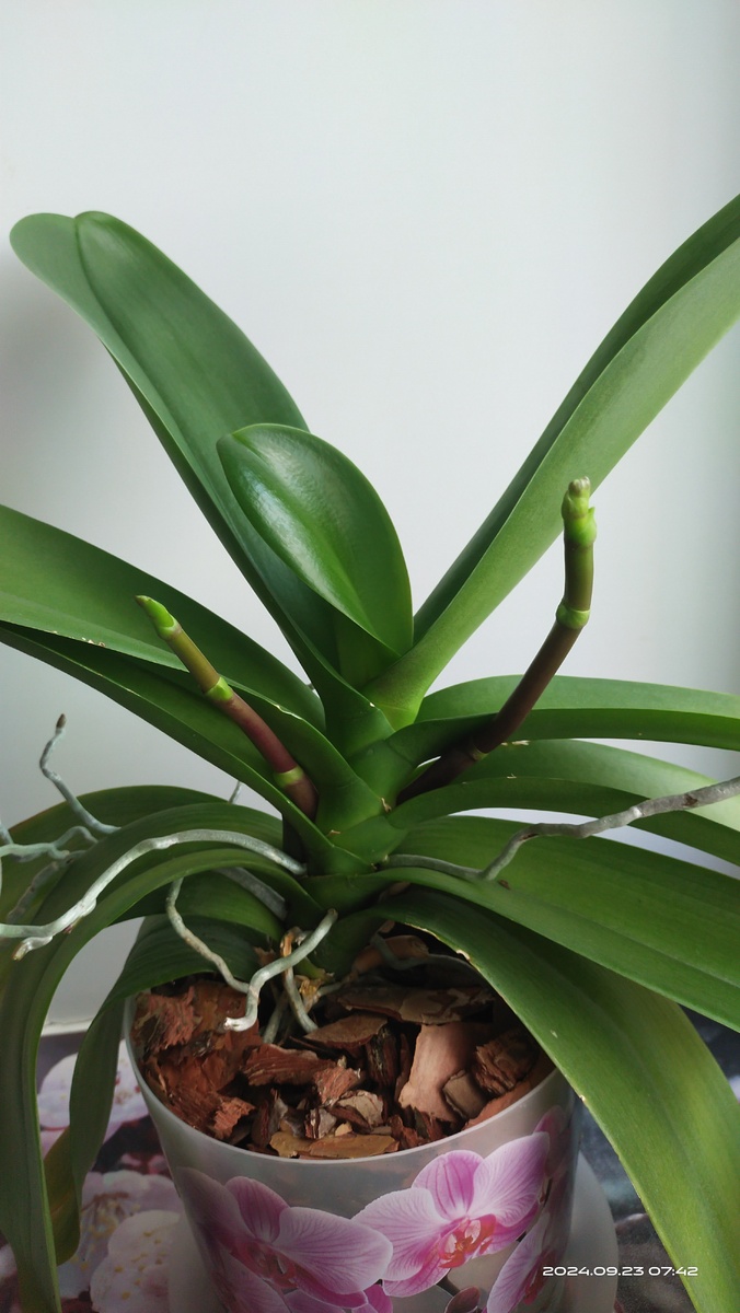 Она же, но в конце сентября. Проблемы нет. 