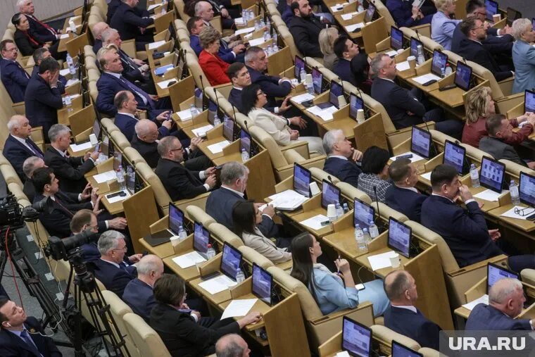 Депутаты Госдумы единогласно поддержали закон. Фото: Владимир Андреев © URA.RU