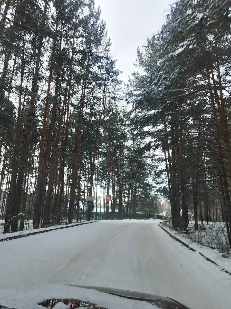 Зимняя красота, хотела написать и вековые сосны, но думаю что они не вековые точно а более вероятно что столетние точно