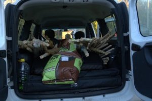    Фото: Фонд «Компас»