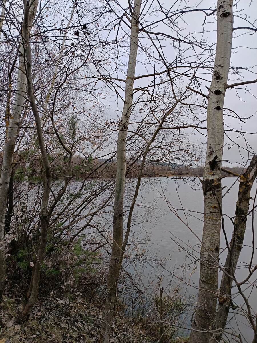 Фото Натальи Калантаевской