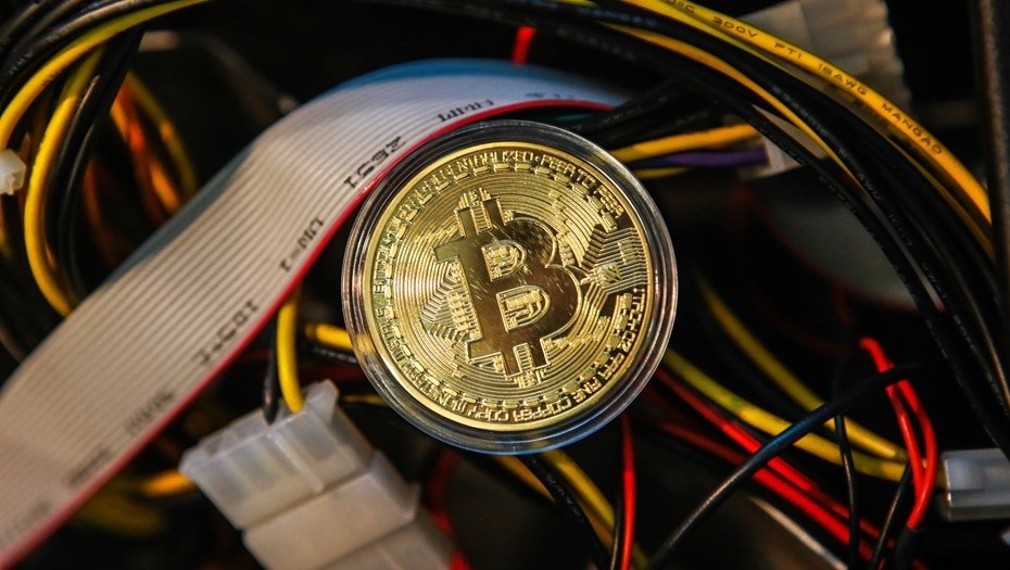    Автор фото: Сергей Коньков / "ДП"