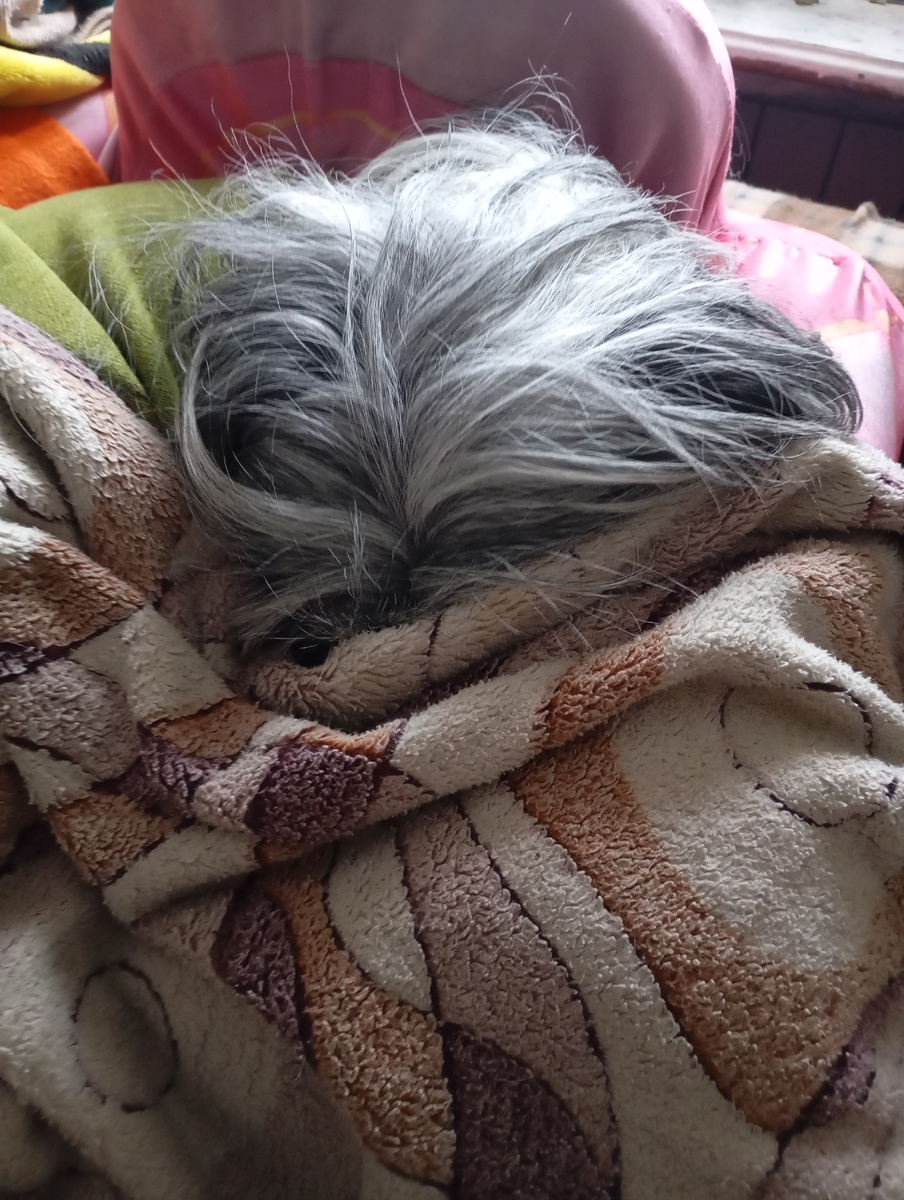 Тосенька рядом седая голова