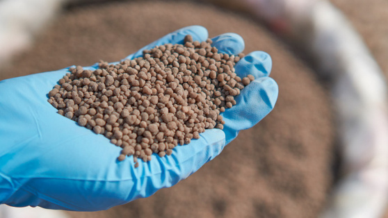    Компании попросили Минпромторг об индексации внутренних цен на удобрения на 15% Алина Городниченко