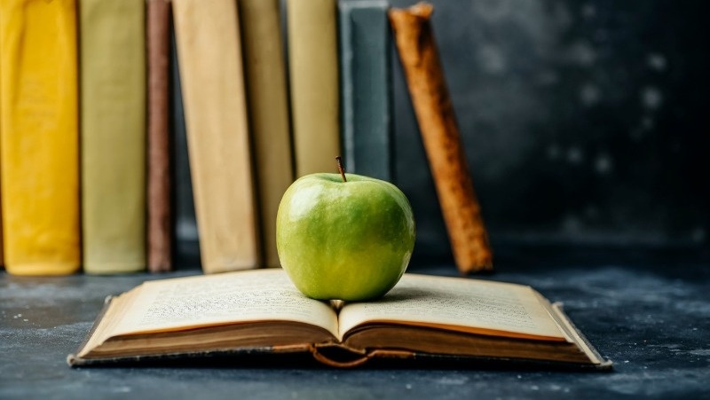 Фото: @user11628272 / freepik.com