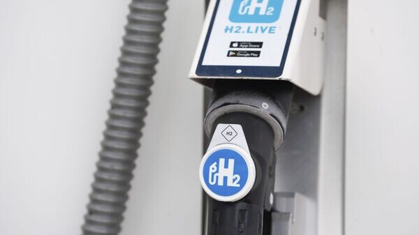    © AP Photo / Sebastian Kahnert