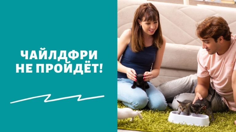    xr:d:DAELCVOK9sQ:127,j:34791742096,t:22090806 ngsochi