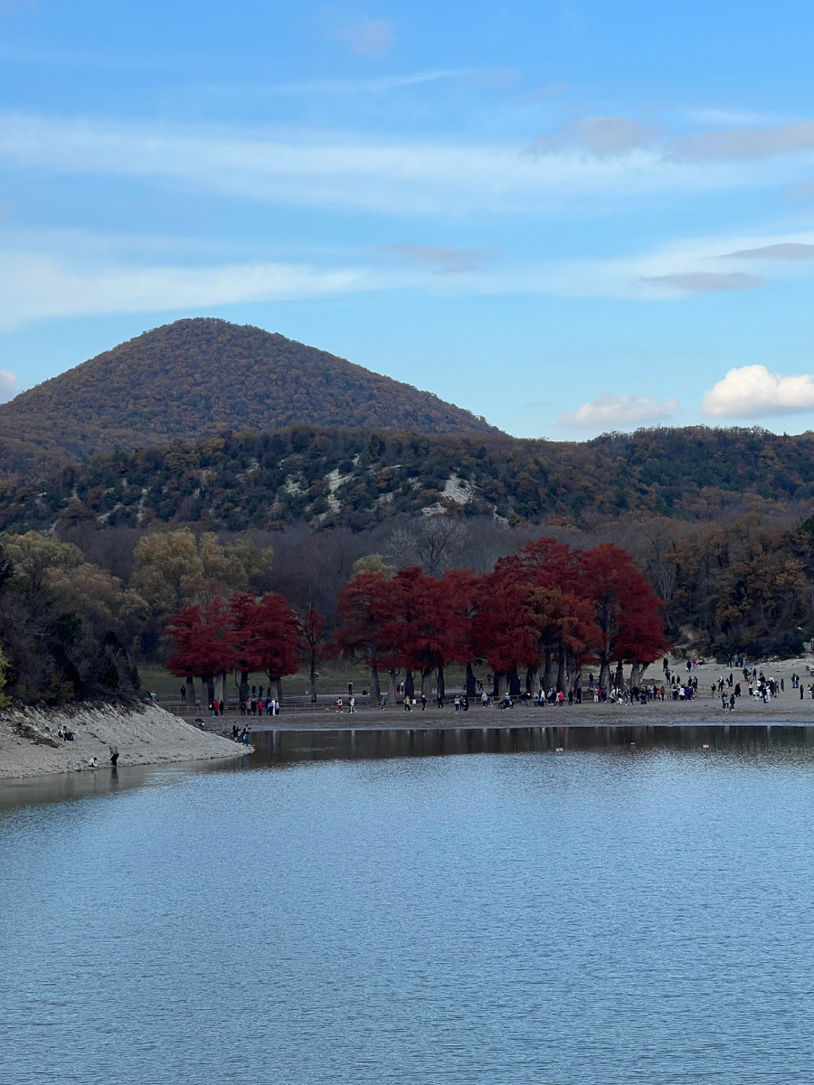 Вот они кипарисы. Красные а вокруг всё зелёное