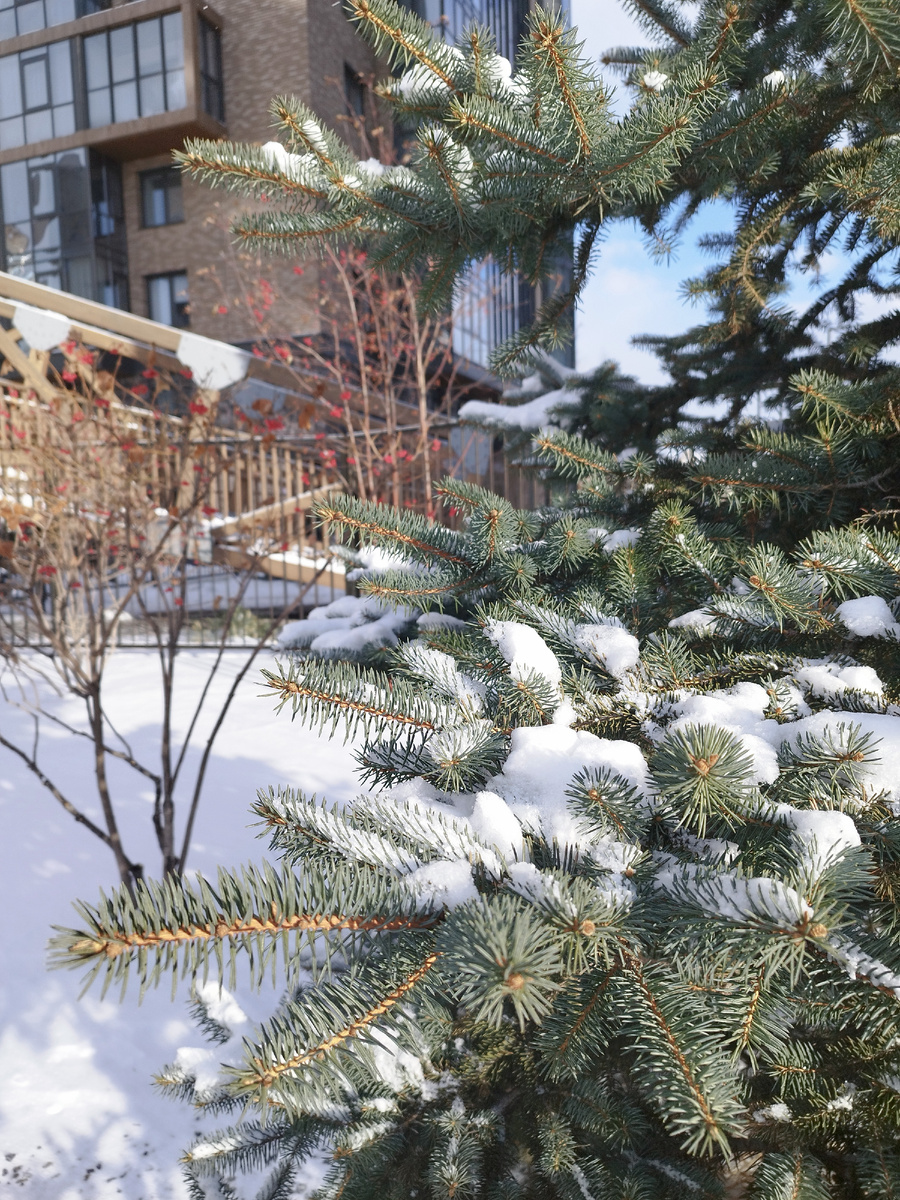 Вчерашнее фото из личного архива автора