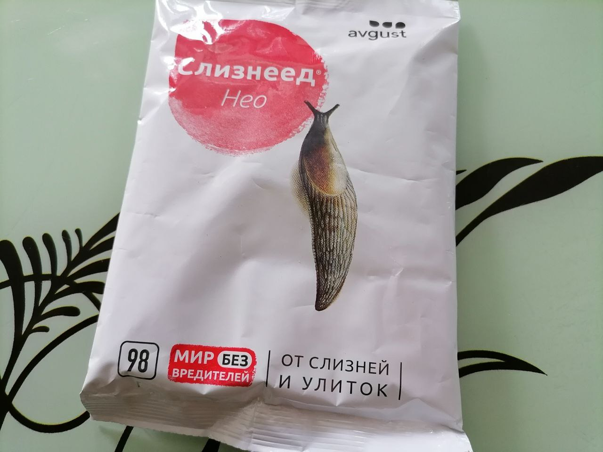 Слизнеет, фото автора
