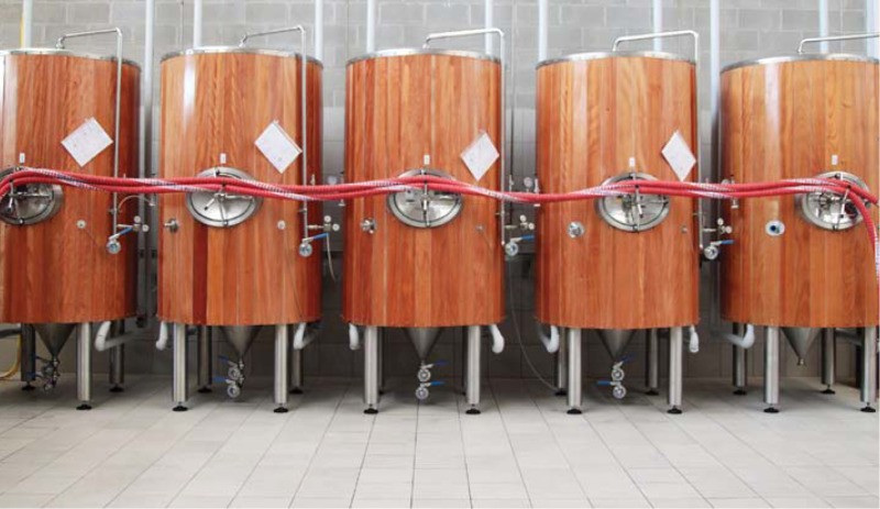 Микроорганизмы уже используются в коммерческих целях для производства таких разнообразных продуктов, как витамины, пищевые компоненты и пластмассы. Фото: ncbi.nlm.nih.gov